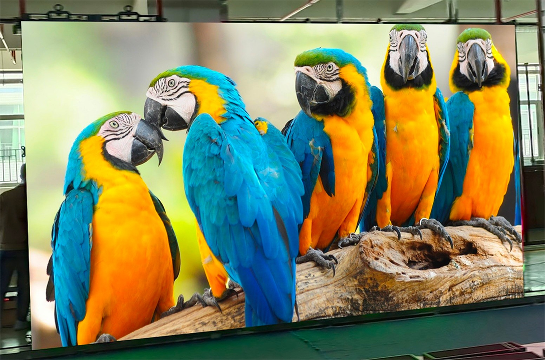 High Quality LED Display